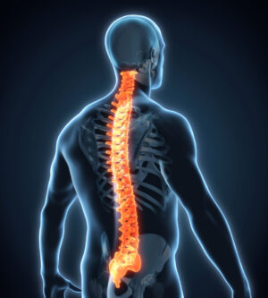 Spine | TriMed Spine & Joint